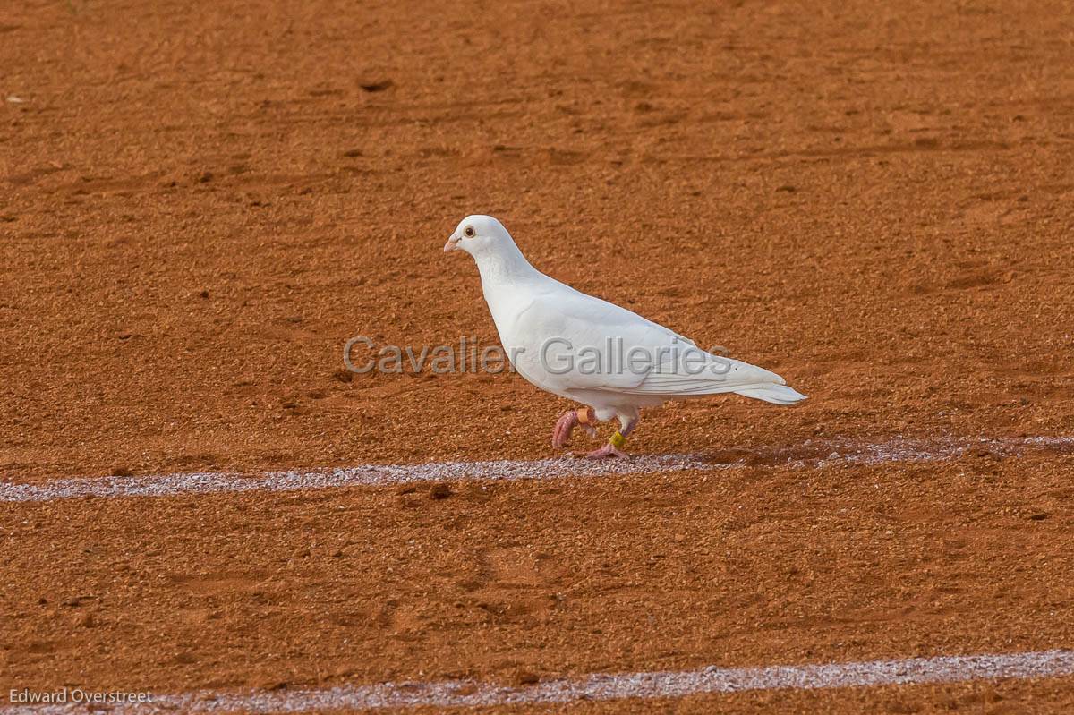 SoftballvsGaffney -24.jpg